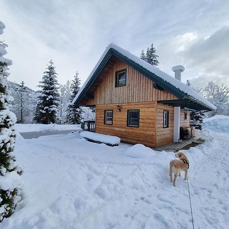 Villa Chalet Am Teich Familie Gaenser à Feistritz am Kammersberg Extérieur photo